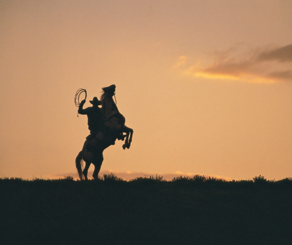 Cowboy at Sunset
