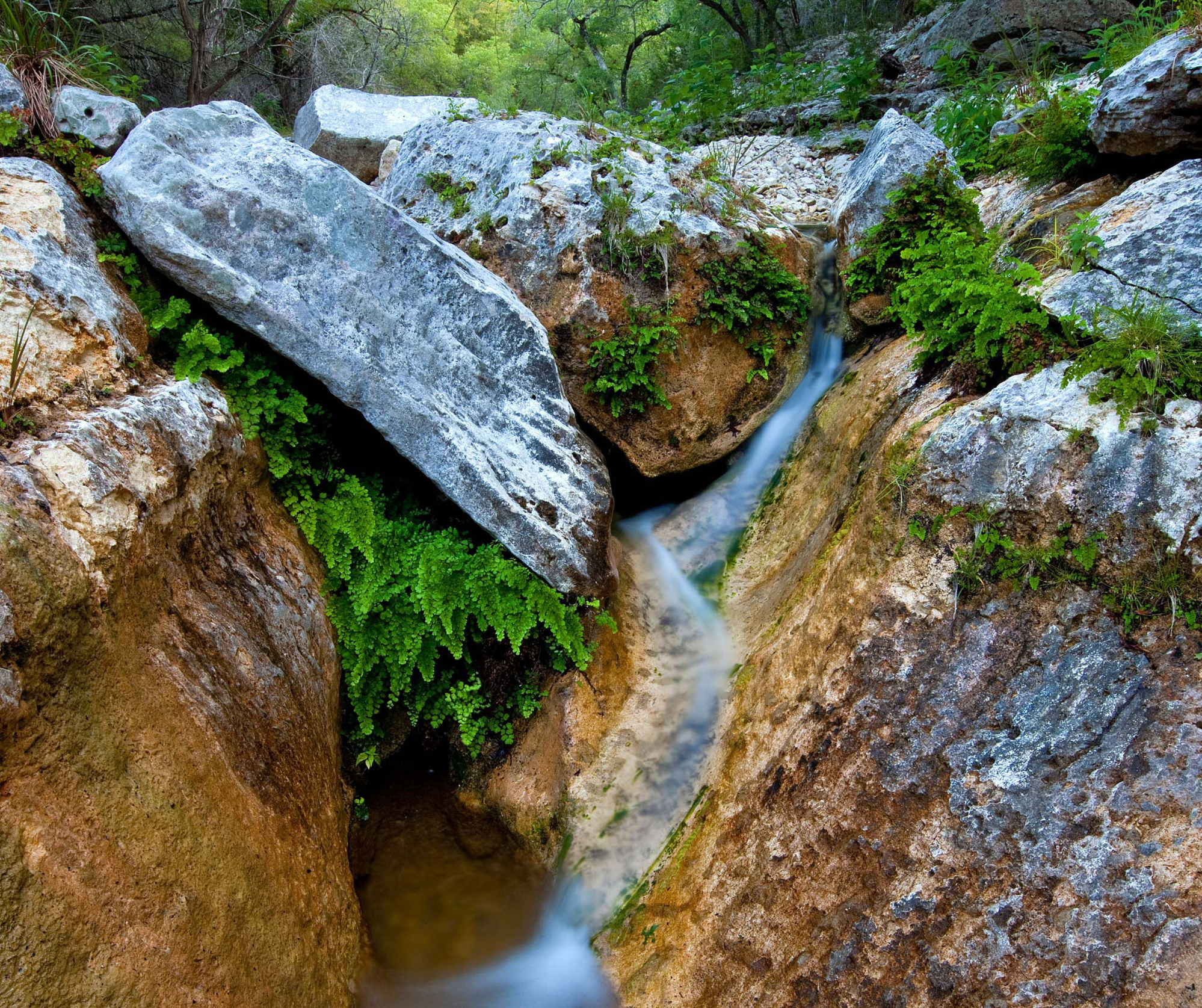 The Underground Aquifers- Edwards Aquifer & Love's Creek