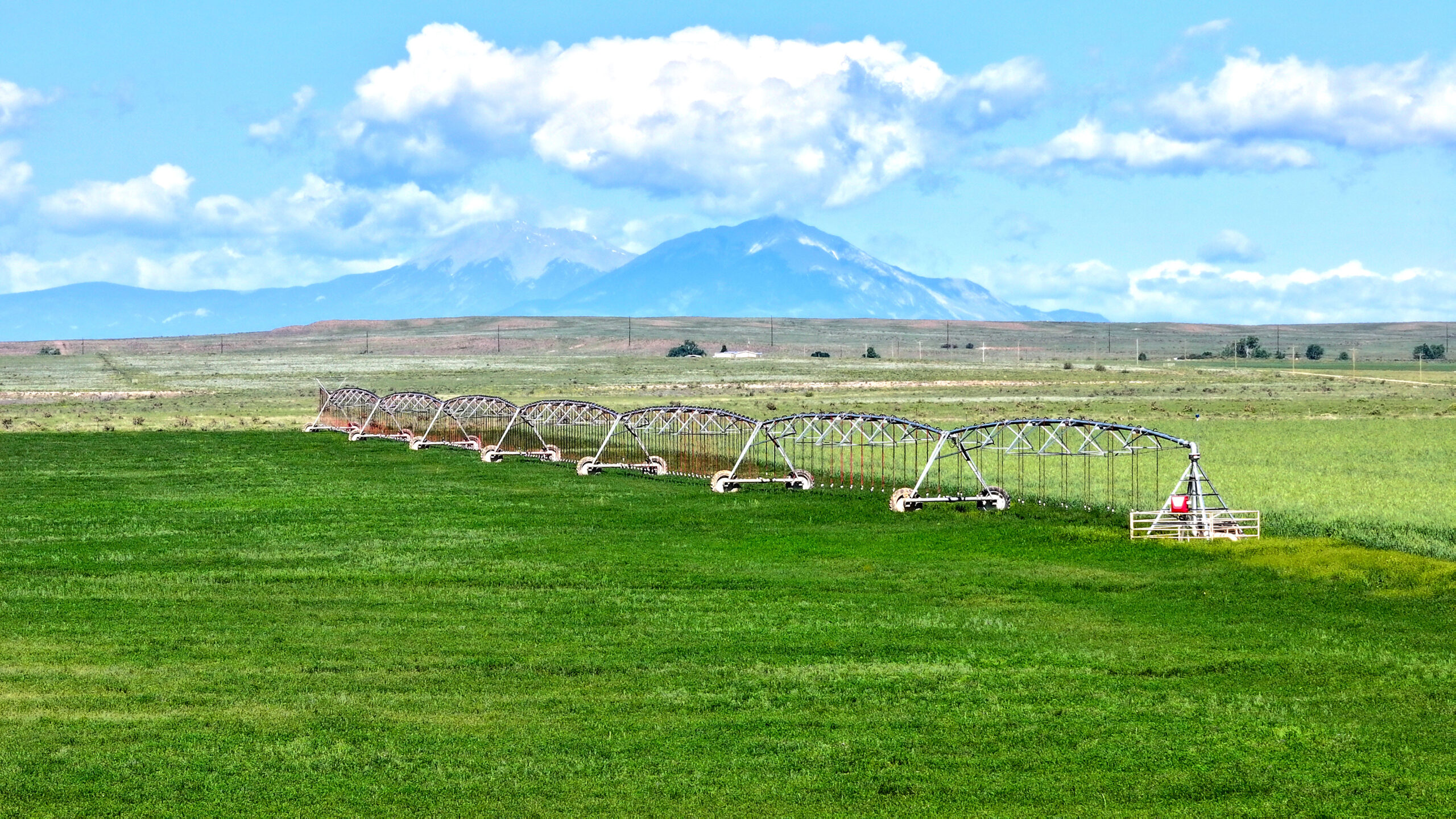 Oasis Farms photo 1
