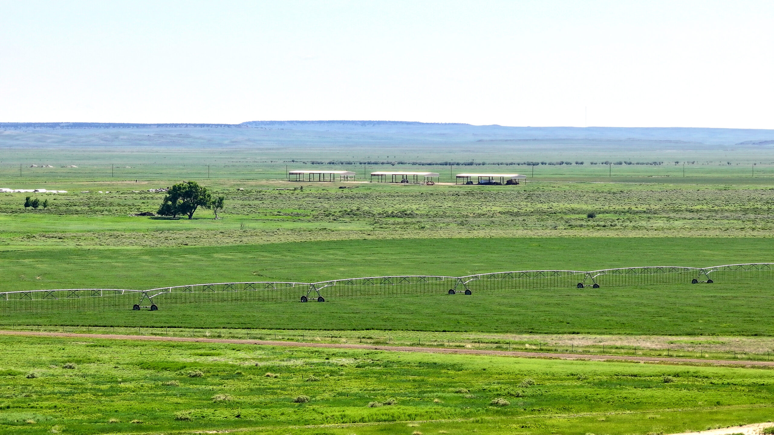 Oasis Farms photo 11