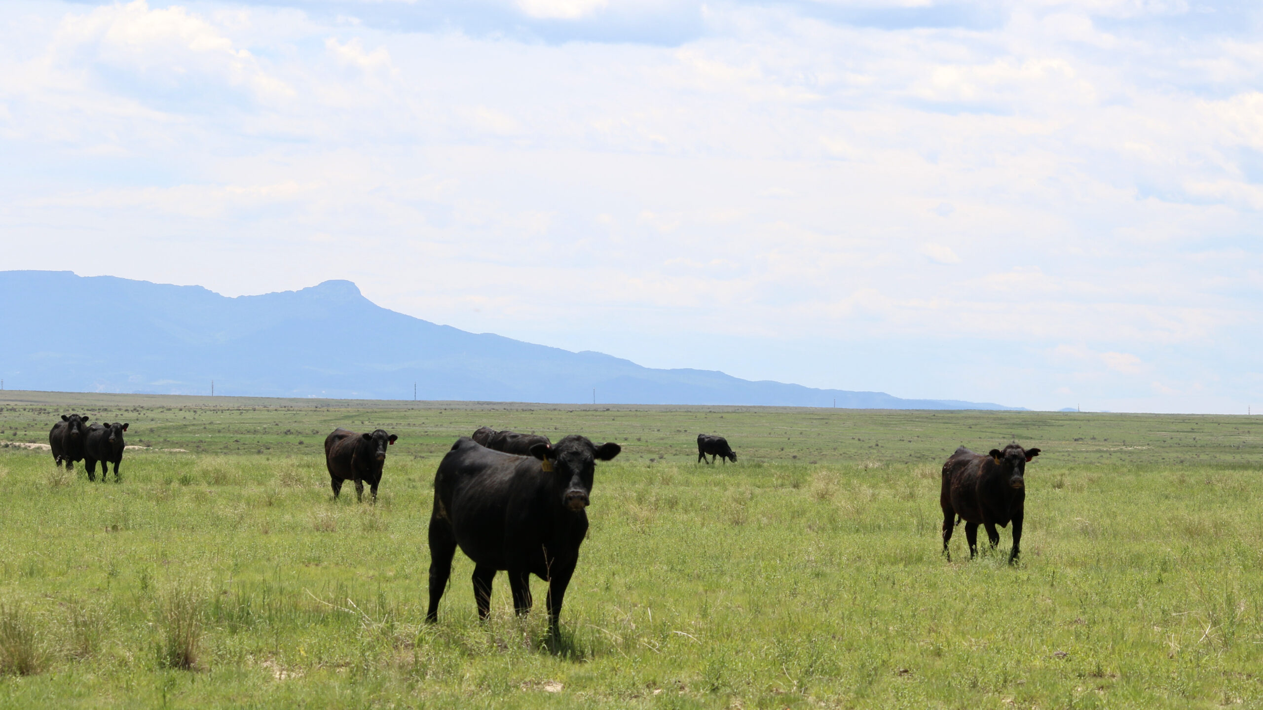Oasis Farms photo 9