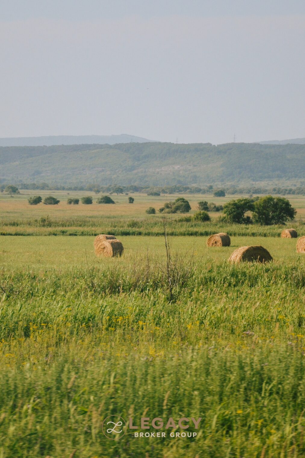 A hay meadow on a Texas ranch property, the kind of agricultural use that supports an ag exemption.