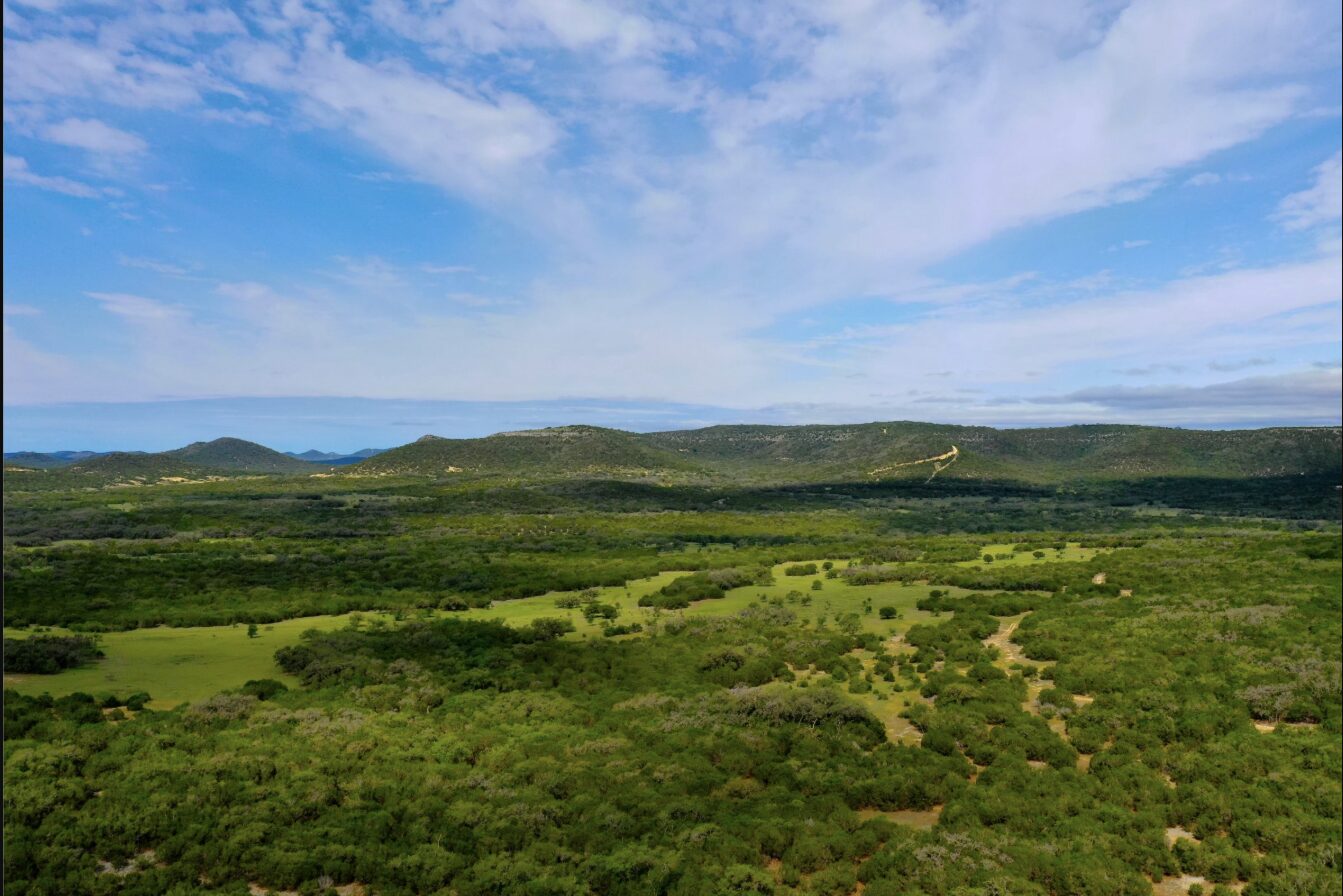 Rolling Hill Country landscape in Bandera County, Texas, natural habitat for barn swallows and native wildlife.