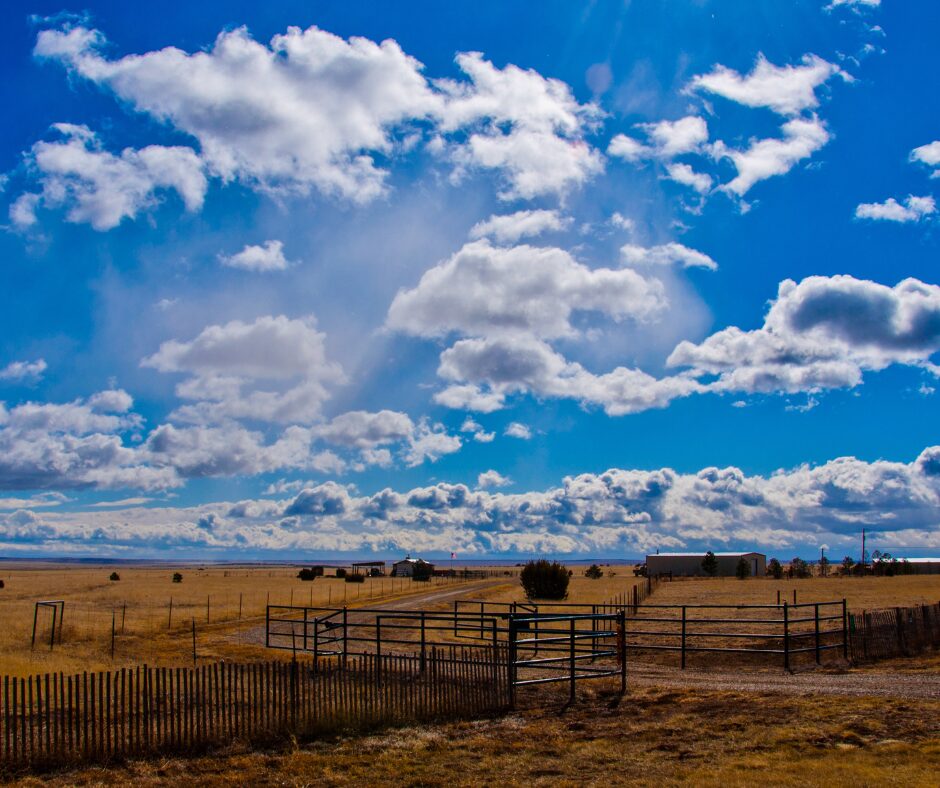 Selling Your Texas Ranch
