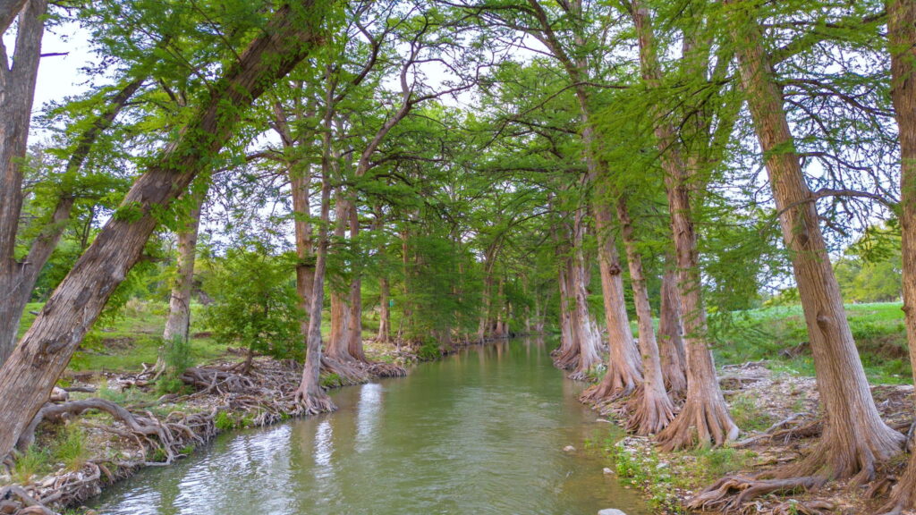 River Bend Ranch