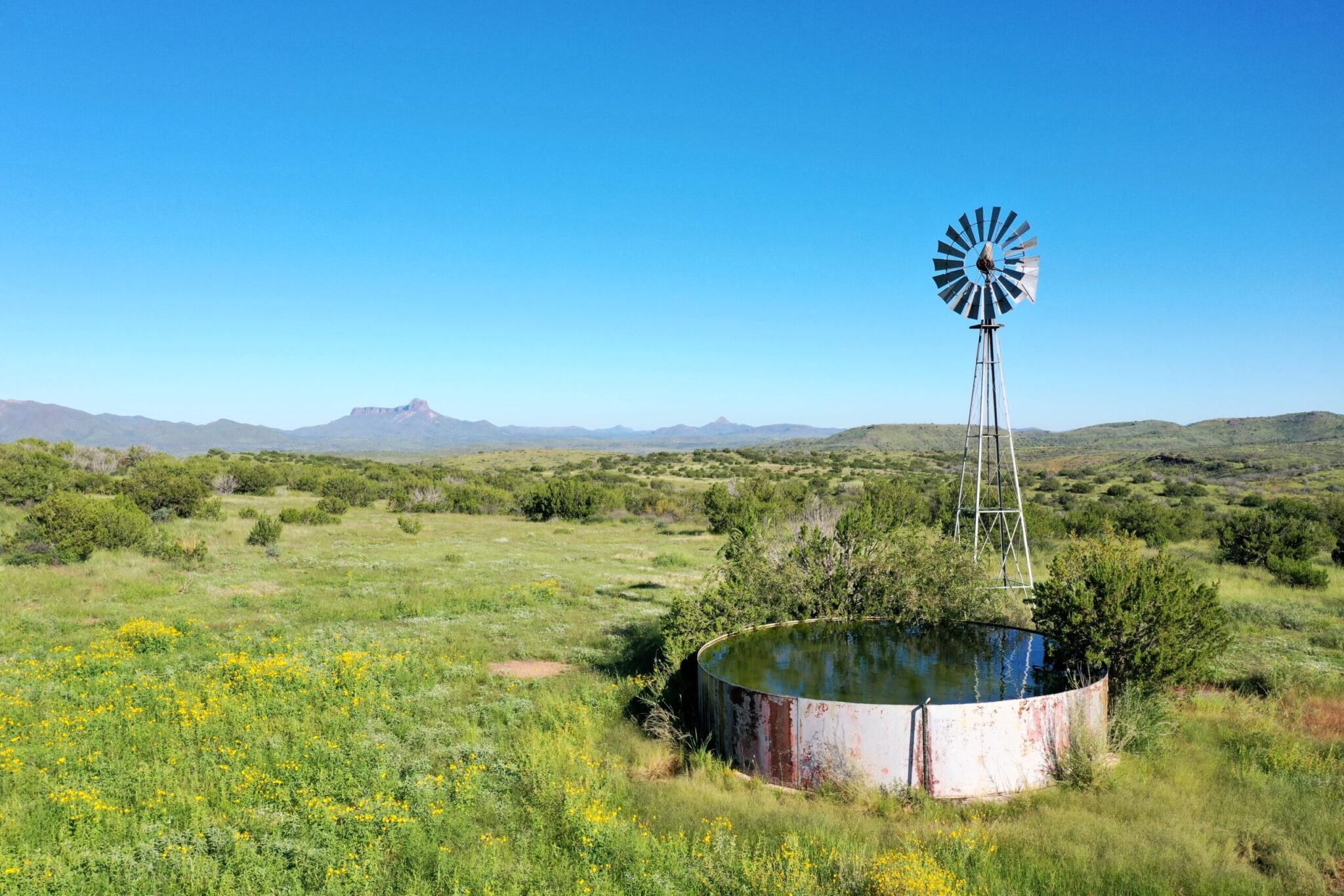 Calamity Creek Ranch