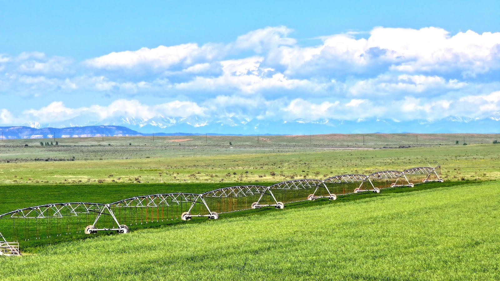 Fenced pasture with cross-fencing on a working cattle ranch in Far West Texas