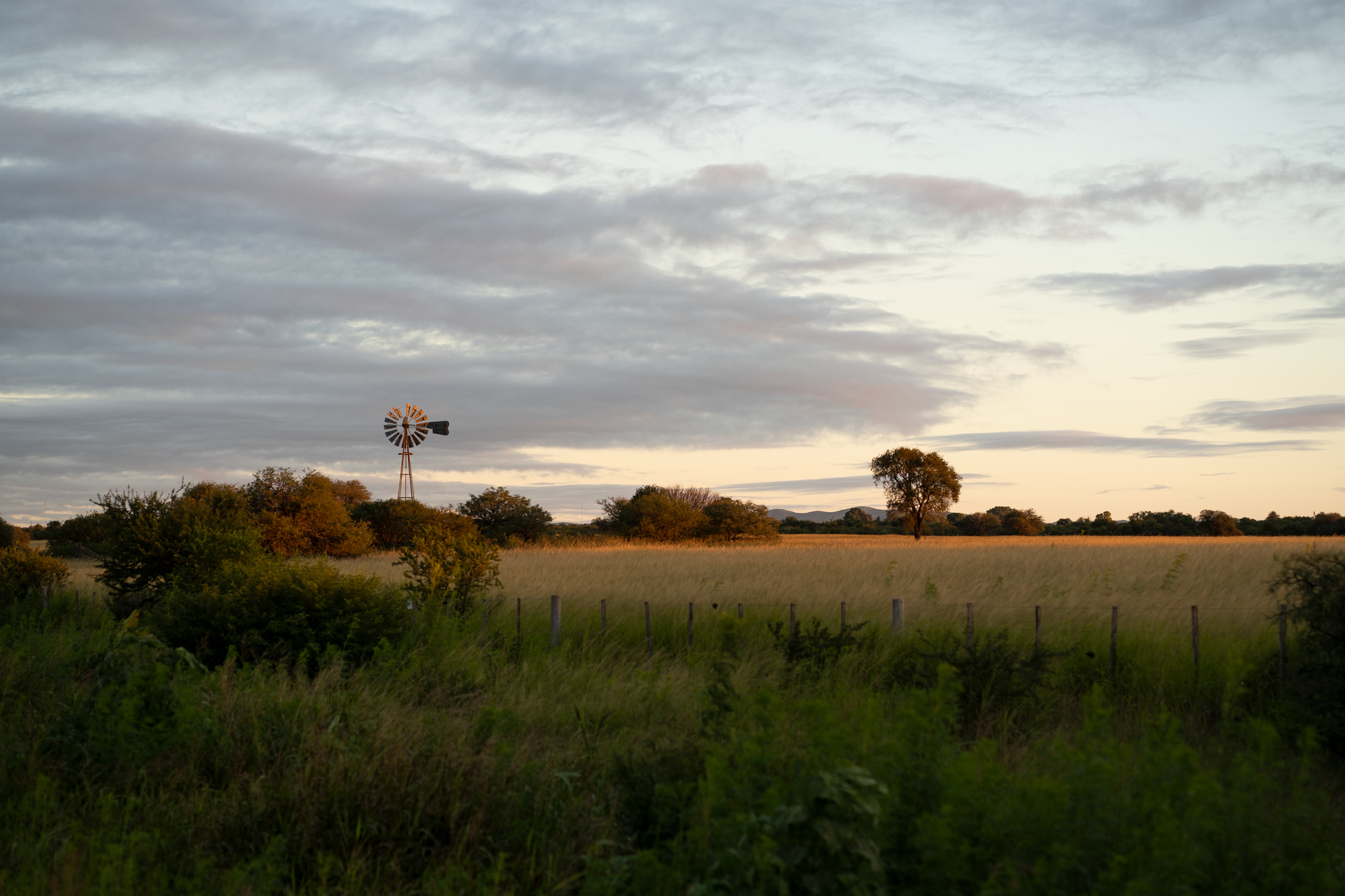 Picturesque rural landscape with a windmill at sunset in Córdoba, Argentina.